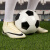 耐克（NIKE）男鞋 24夏季新款运动鞋足球训练场上实战AG钉鞋人造长草地足球鞋 DJ5622-700 38.5