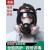 赛瑞佳防尘防毒面具全面罩喷漆打农药放毒氧气头罩化工气体防护全脸 4008防毒全面罩套装 其他