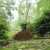 定制竹扫把农村老式竹丝扫帚笤帚户外庭院环卫通用大扫把扫院子 金丝草植物扫帚长15米宽60厘米
