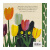 【现货】冬日郁金香：民间艺术家莫娣·刘易斯 A Tulip in Winter: A Story About Folk Artist Maud Lewis 英文儿童绘本 善本图书