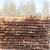 落叶松防腐油木杆 通信电力防腐油木杆 6米7米8米9米油木杆木质杆 8米130粗 小头