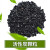 级工业椰壳活性炭 颗粒净水活性炭 工业废气污水处理吸附过滤碳 椰壳炭 25KG