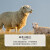 富安娜珍芯 100%澳洲进口纯羊毛被冬季 纯棉面料加厚被 7.8斤203*229cm
