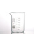 华鸥 1101 玻璃烧杯 低型烧杯 大小刻度量杯 实验室玻璃器皿 300ml
