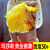 玛莎莉红薯新鲜黄金榴莲蜜薯糖心烤地瓜板栗番薯日本引种山芋 5斤 玛莎莉 精品果 (彩箱装 )