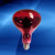 远理疗灯烤电灯泡理疗电烤灯神灯红光灯灯泡 两粒优惠装红光高品质全红温度 100300W