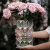 润开临花瓶玻璃插花高级感摆件轻奢客厅水晶玫瑰鲜花法式透明水养郁金香 香槟大号 水晶料升级加厚