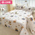 洁丽雅全棉床单单件 纯棉被单床罩单人床垫保护罩 布偶熊230*250cm