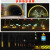 高速隧道口立面标记铝板警示贴交通护栏IV类黄黑铝基斜纹反光膜 联系客服定制任意规格