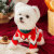 嬉皮狗（hipidog）宠物秋冬季新春圣诞小熊套头毛衣小型犬保暖针织衫圣诞节猫咪衣服 德罗红 XS 建议体重1-3斤
