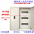 电气柜 双层门总控加空开漏电配电箱 照明动力电气柜C45 100A总控 3X25位(650x820x150)