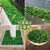 仿真草坪假绿植带花隔断植物墙塑料装饰绿草皮垫地毯造景摆设窗台 28.5厘米宽 X 60厘米长