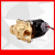 BOPU格尔特geerte2W-160-15 2WBFR-15铜电磁阀太阳能电磁阀水阀 电压AC220V