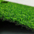 安赛瑞 仿真草坪 人造塑料假草皮  宽2m长10m2cm加密春草 700585