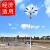 LED高杆灯户外12米15米25米广场社区防水道路球场升降式路灯自动 高杆灯五8米