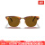 雷朋（RayBan）奢侈品潮牌女士太阳镜墨镜半框玻璃镜片日常旅游网红RB3016 Tortoise Brown/Brown 51mm