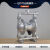 QBY25/40气动隔膜泵不锈钢耐腐腐蚀铝合金抽胶泵塑料铸铁压滤机泵 QBY/K100铸铁丁腈膜片