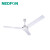 绿岛风（Nedfon）吊扇 电风扇 大风力吊式风扇 48寸1.2米 FC-20B