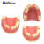 TWTCKYUS上颌窦提升操练模型 种植牙练习模型 口腔种植 软牙龈 齿科材料 下河种植模型1个款1