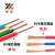 鑫意电缆 BV BVR BLV BLXY家装电线 防老化线 单位：卷 BVR4