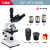 XSP-36-1600X双三目专业光学生物显微镜科学实验水产宠物医院 三目标配640倍