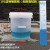 定制塑料桶带刻度线半透明白色桶带刻度塑料水桶盖 10L透明桶（刻度贴的）