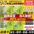 2024春新版孟建平各地期末试卷精选【官方旗舰店】新版1一年级2二年级3三年级4四年级5五年级6六年级上册下册试卷语文数学英语科学人教版教科版同步练习训练期中复习题 人教版满分套装：语文R+数学R 2