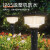 贝工 LED太阳能户外庭院草坪灯 7W 三色调光 方形 BG-SG-9S340