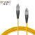 博扬 光纤跳线fc-fc(UPC) 5米 Φ3.0收发器尾纤 BY-5331SM（条）7天内送达
