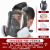 LISM防毒面具全面罩喷漆打磨防护全脸专用头罩防尘防护面罩毒气罩护罩 6600全面具+3号滤毒盒防尘毒