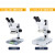 力辰科技生物显微镜大视场目镜带CTV专业光学高清jing子螨虫显微镜 LC-SMS-4T+环形灯 
