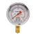 红旗牌仪表YTN-60/YN-60耐震压力表抗震压力表充油压力表负压表 0~0.6MPa