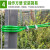 安达通 绿色包塑钢丝绳 细软钢丝承晒衣架窗户牵引线工程胶皮钢丝绳 1 5.0mm-100米 