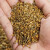 日本进口加强硬度桐生砂 颗粒铺面混土配土颗粒 多肉植物营养 中号3-6mm 5斤装