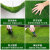 【优选】仿真草坪地毯幼儿园绿地仿真人造塑料草皮地毯露台花园假 翠绿2.0春草特密绿背胶款 1米宽-长度需要几米拍几件