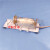 大鼠固定器 小鼠固定器 尾静脉注射抽针灸保定 实验用老鼠筒架 PC筒+不锈钢架票160-350g