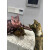 TLXT丑猫抱枕定制无白边diy异形咪狗宠物睡觉长条靠垫枕头玩偶公仔印 双面印图4cm(长边
