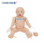 欣曼XINMAN 高智能数字化新生儿综合急救技能训练系统 新生婴儿模拟人(ACLS高级生命支持/计算机控制)