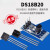 DS18B20测温模块 温度传感器开发板 DS18B20 TO-92 温度采集 DS18B20 测温模块