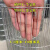 镀锌铁丝网钢丝网鸟笼材料防护网养殖鸽棚围网网片围栏镀锌网加密 0.31米高1.5*10厘米孔2.0粗每米
