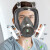3M全面罩6800防毒面具全面型防护面罩喷漆装修甲醛有机酸性气体面具 防尘毒七件套6800+6001