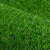 共泰 仿真草坪 春草11针加厚复合背胶 场地铺设草坪地毯装饰园林绿化 1m²