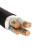 佳雁 国标3+1芯低烟无卤B级阻燃耐火铜芯电力电缆WDZBN-YJY 3*50+1*25平方1米