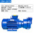 2BV系列水环式真空泵工业用高真空水循环真空泵压缩机 2BV2070-2.35KW (球铁叶轮)