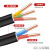 沈缆红星 电线电缆YJV 3*4+1*2.5平方四芯硬线国标3+1铜芯电源线 1米