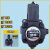 适用于定制油泵变量叶片泵PVS-HL-20D-10 30D 40D 12D 15D 赫力PVS-HL