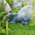 爱奇人户外花园假山造景动物小饰品家居客厅鱼缸盆景微景观装饰水牛摆件 大号卧牛
