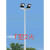 LED升降高杆灯户外广场灯球场灯中杆灯港口灯大功率超亮高杆路灯 10米全白 圆形灯盘4个200瓦