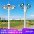 LED中杆灯广场灯6米8米10米12米15米20米25米球场灯升降式高杆灯 10米圆形灯盘   4*LED200W投光