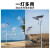 亚明上海太阳能led路灯6米新农村超亮大功率户外灯防水 大灯珠高亮款太阳能路灯200W